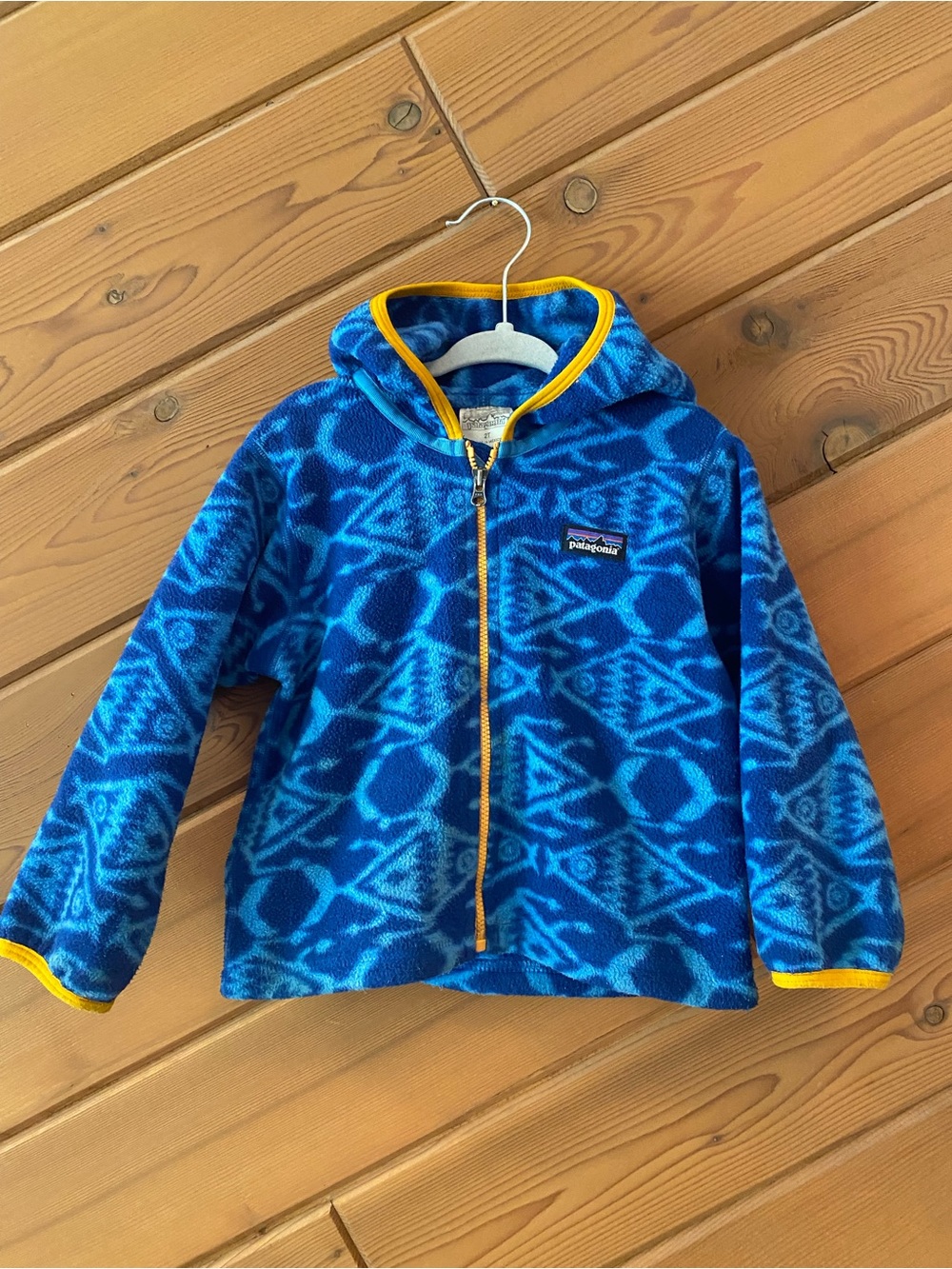 Patagonia Retro Synchilla fleece